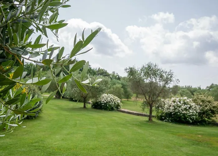 Poggio Al Palio Aparthotel San Lorenzo a Merse