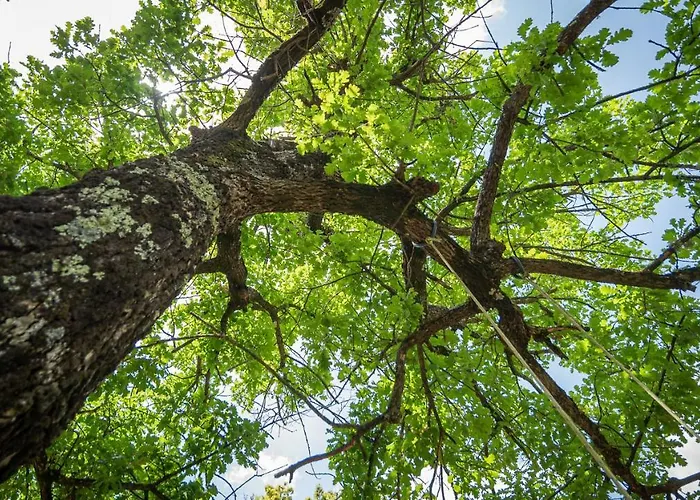 Poggio Al Palio Aparthotel San Lorenzo a Merse