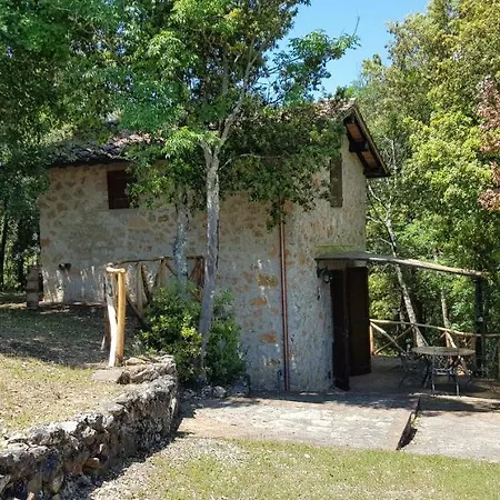 Poggio Al Palio * 산 로렌조 아 메르세