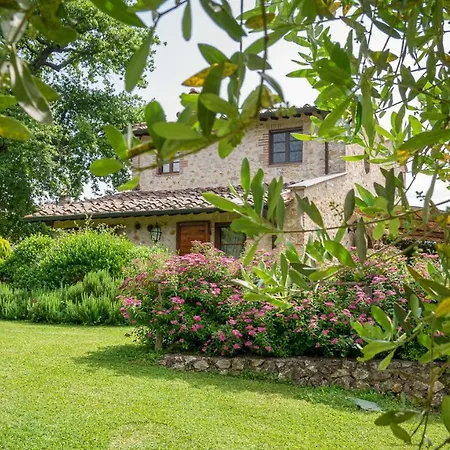 Poggio Al Palio * 산 로렌조 아 메르세